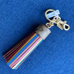 Coach Color Block Tassel With Key Ring / Dogleash Clip